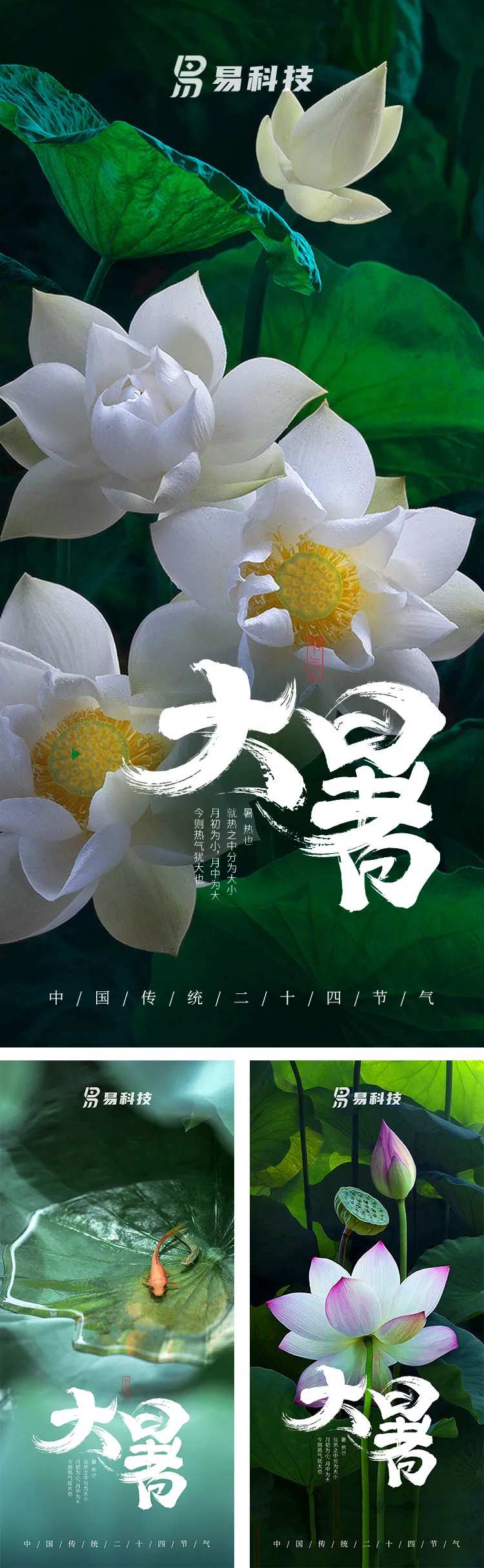 大暑荷塘海报-采灵感-cailinggan.com