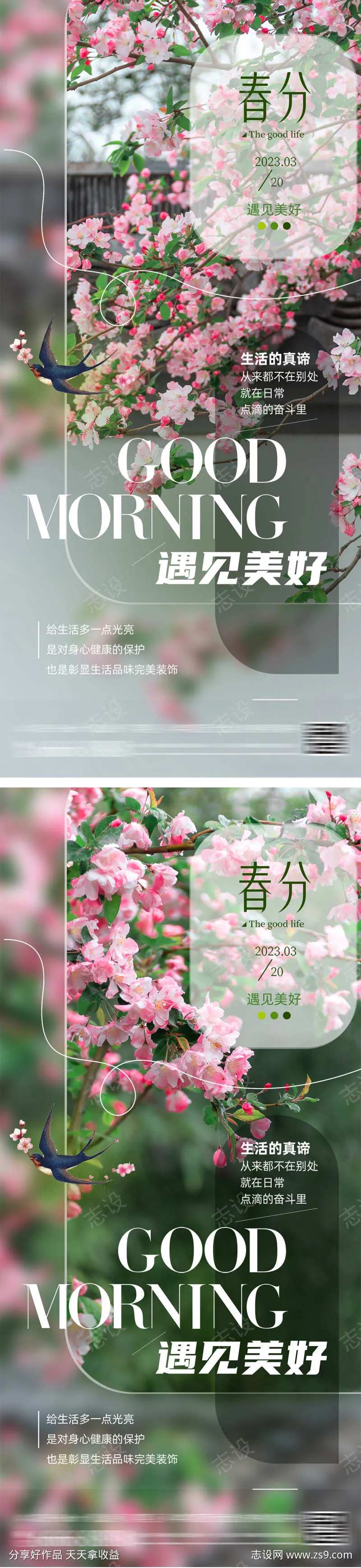 春分桃花节气海报-采灵感-cailinggan.com