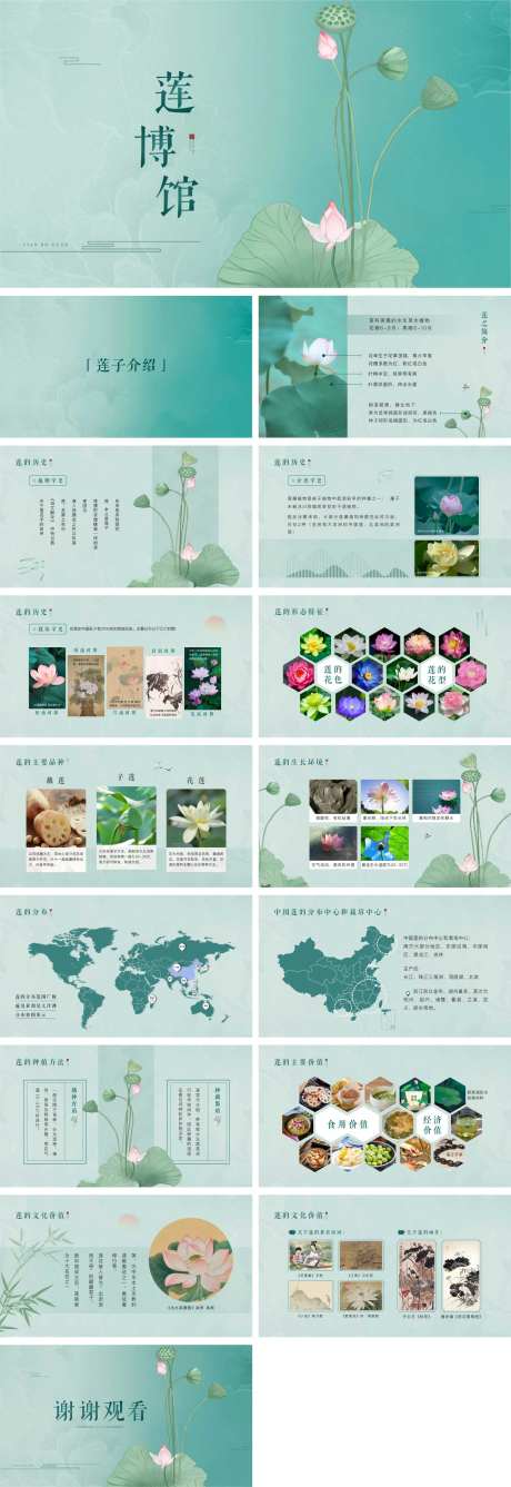 莲的古风荷花中医药材简介PPT-采灵感-https://www.cailinggan.com/