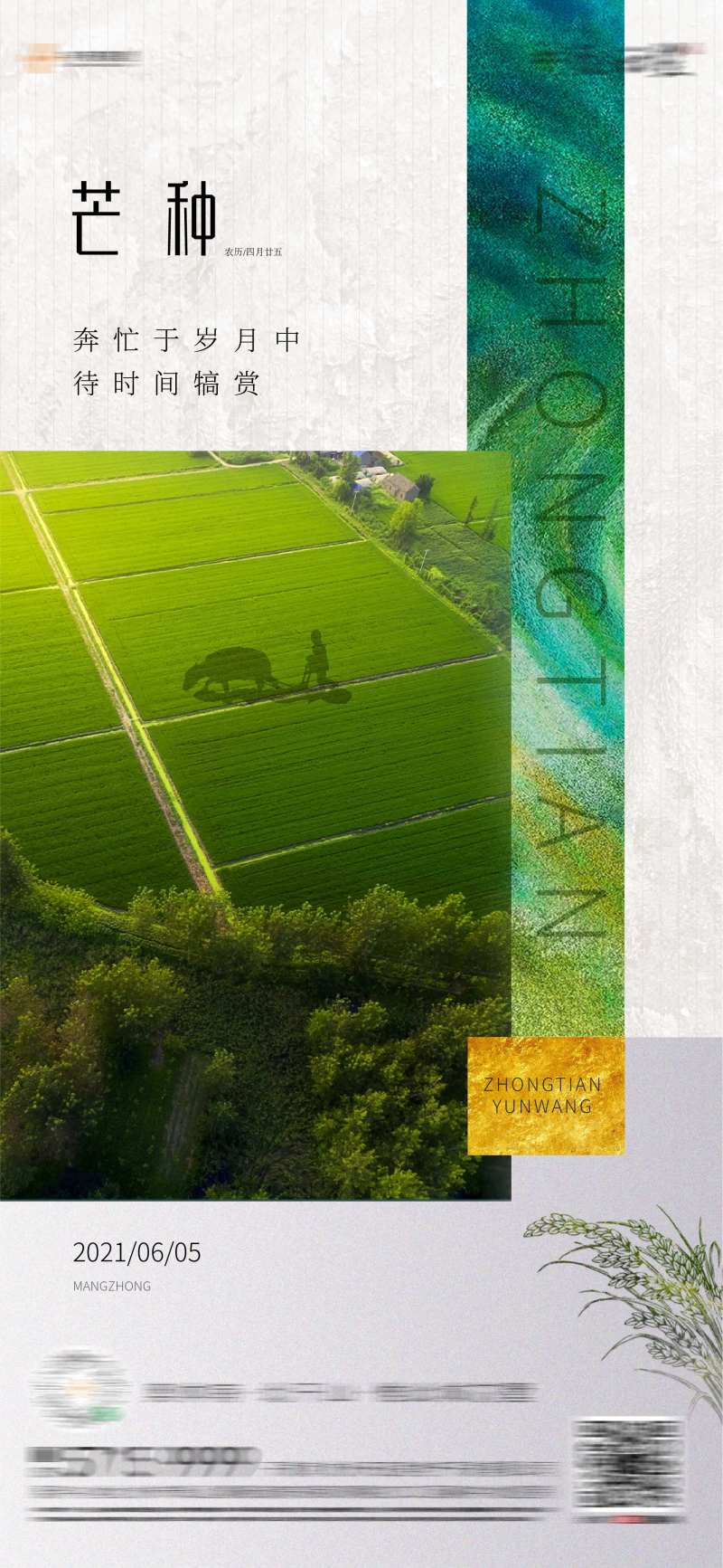 地产芒种田野海报-采灵感-cailinggan.com