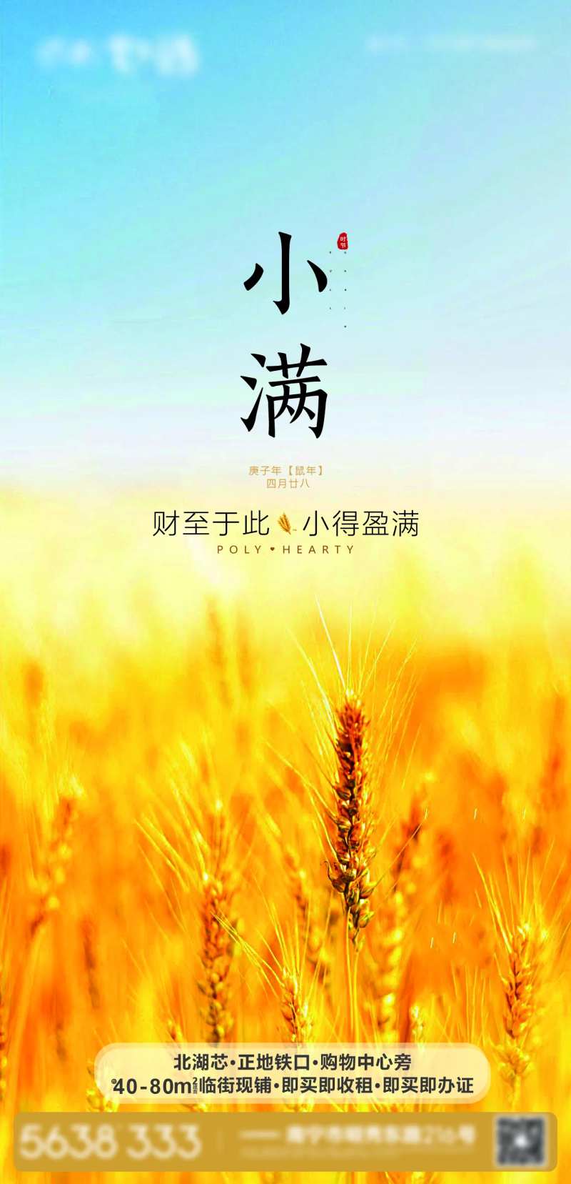 小满节气海报-采灵感-cailinggan.com