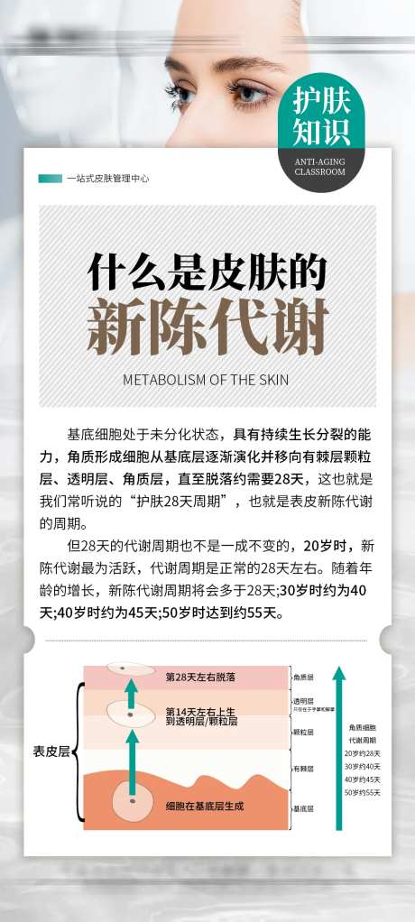 皮肤的新陈代谢海报-采灵感-https://www.cailinggan.com/