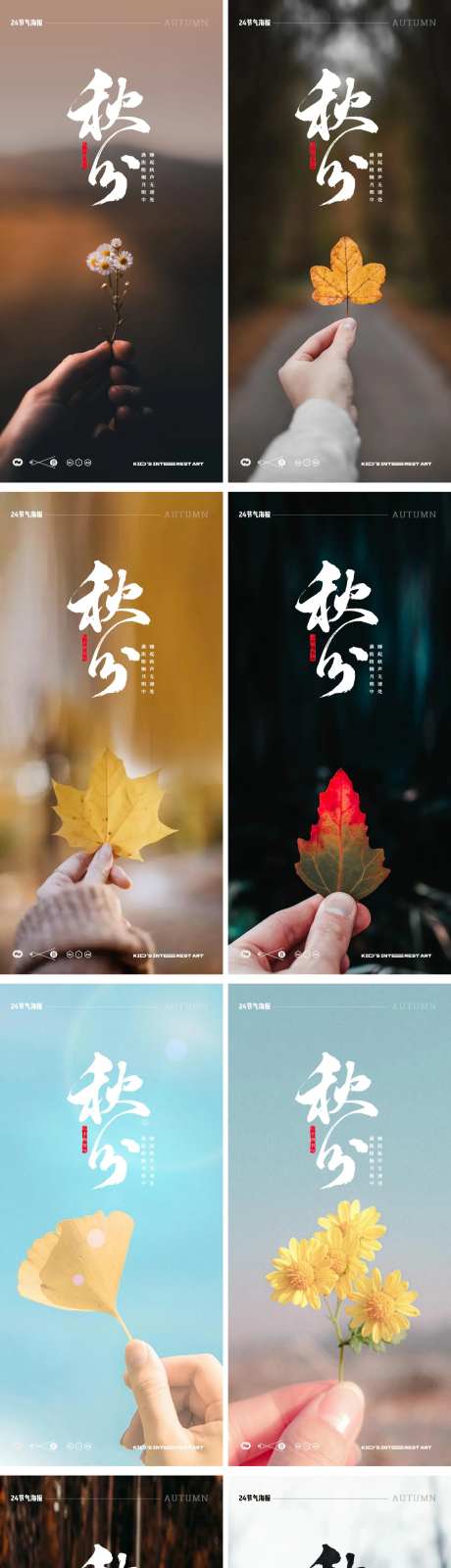 秋分24节气花卉梧桐叶海报-采灵感-https://www.cailinggan.com/