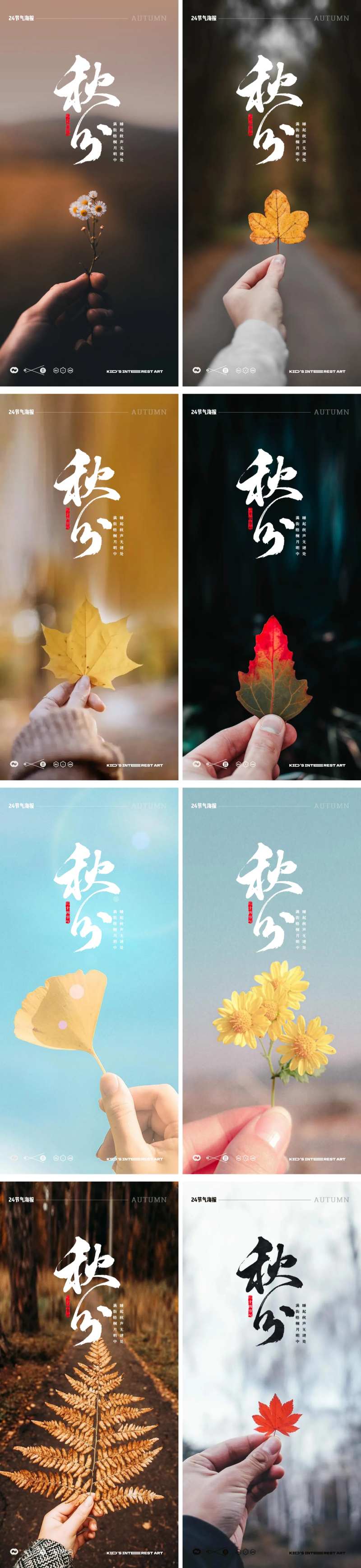 秋分24节气花卉梧桐叶海报-采灵感-cailinggan.com