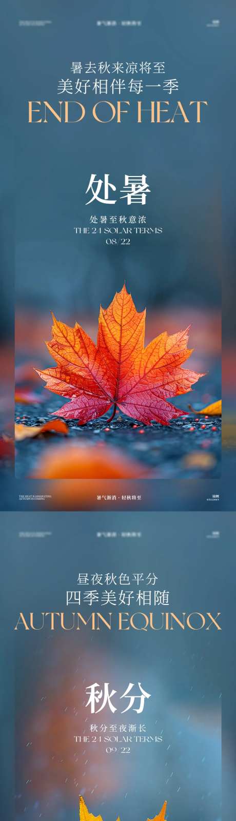 处暑秋分节气系列枫叶海报-采灵感-https://www.cailinggan.com/