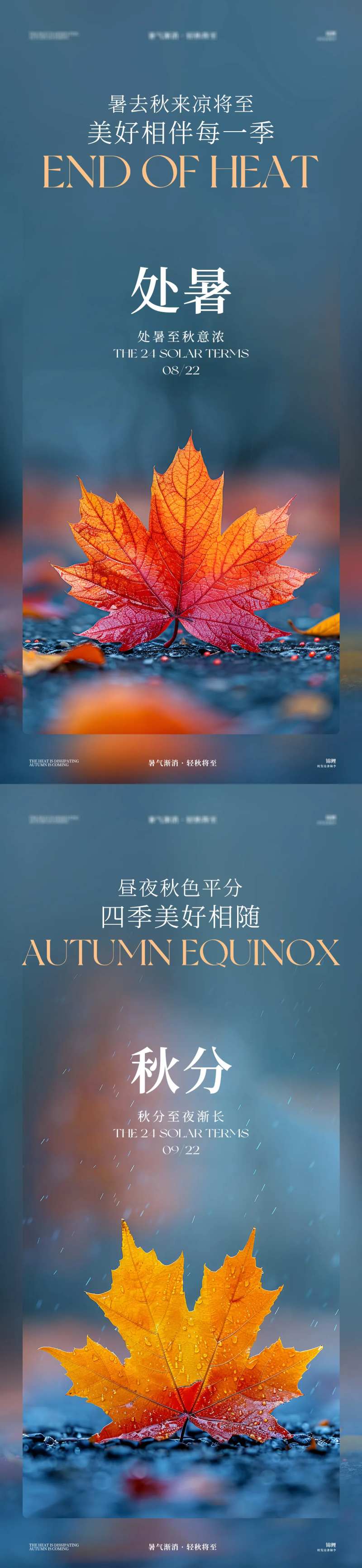 处暑秋分节气系列枫叶海报-采灵感-cailinggan.com