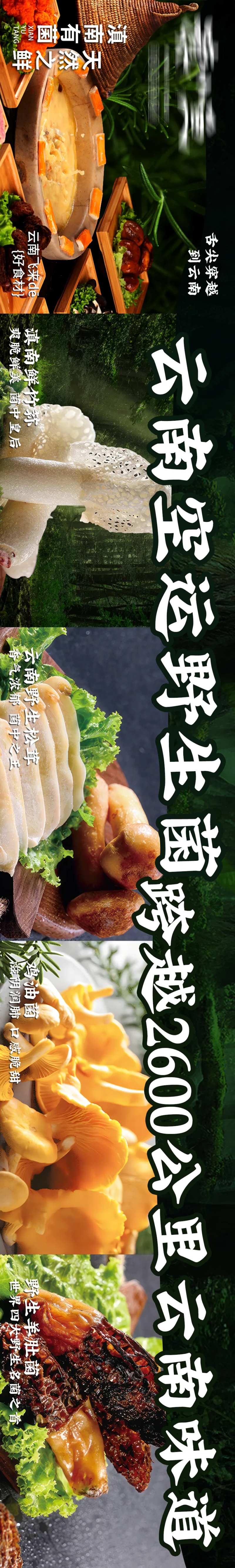 石锅鱼生菌海报-采灵感-cailinggan.com