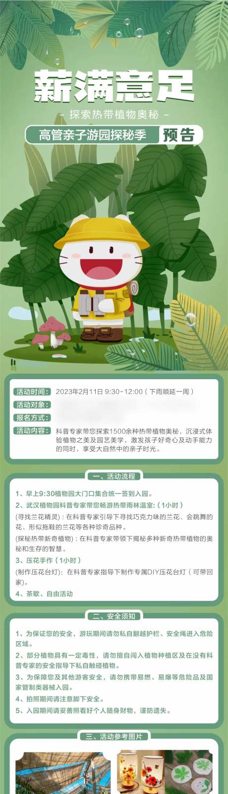 探秘热带雨林-采灵感-https://www.cailinggan.com/