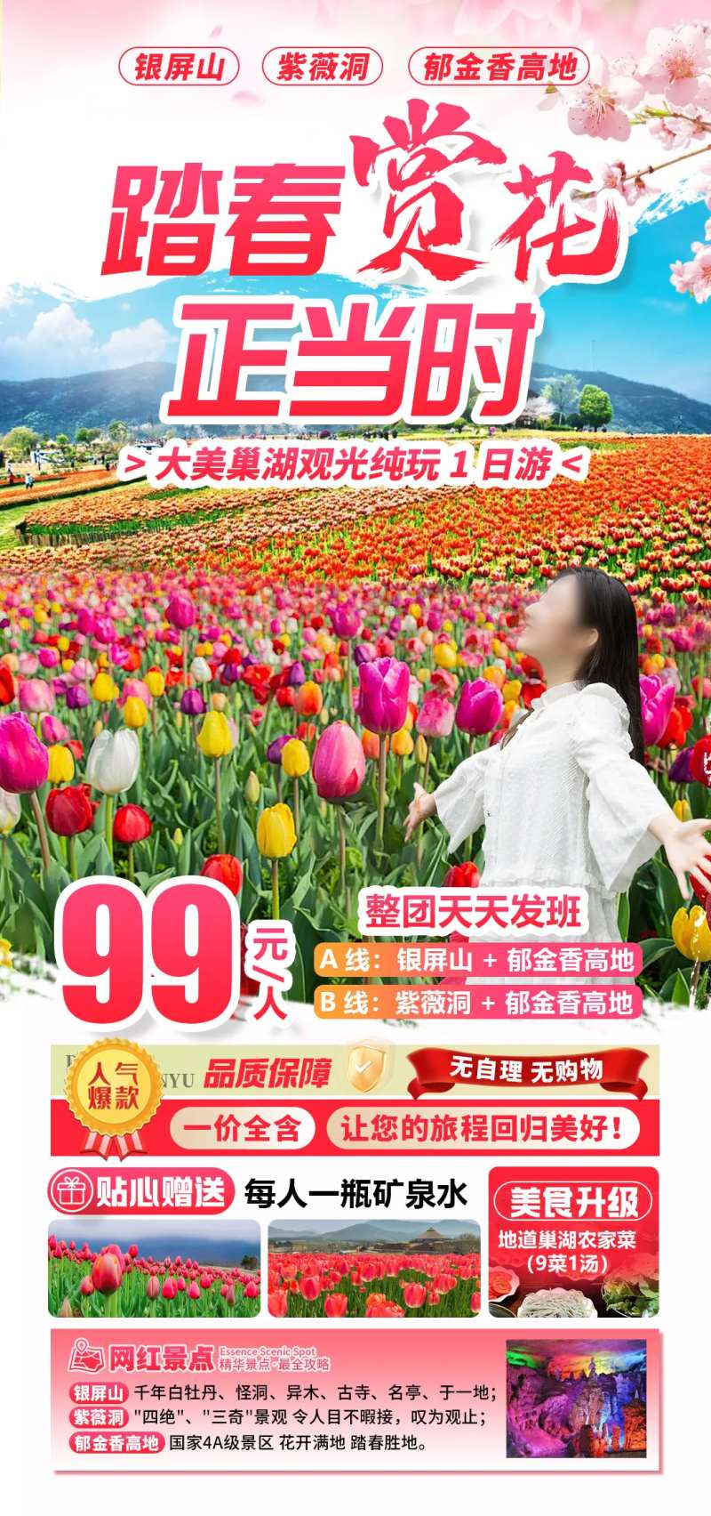 踏春赏花巢湖一日游紫薇洞旅游海报-采灵感-cailinggan.com