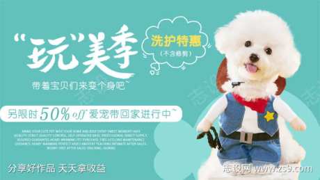 tiffany蓝简约爱宠宠物店洗护特惠-采灵感-https://www.cailinggan.com/