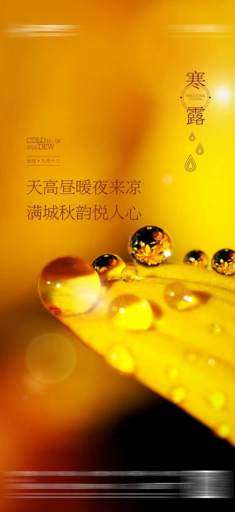 地产寒露节气海报-采灵感-cailinggan.com