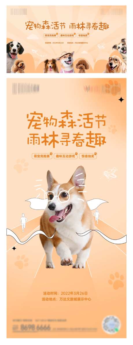 宠物活动画面-采灵感-https://www.cailinggan.com/