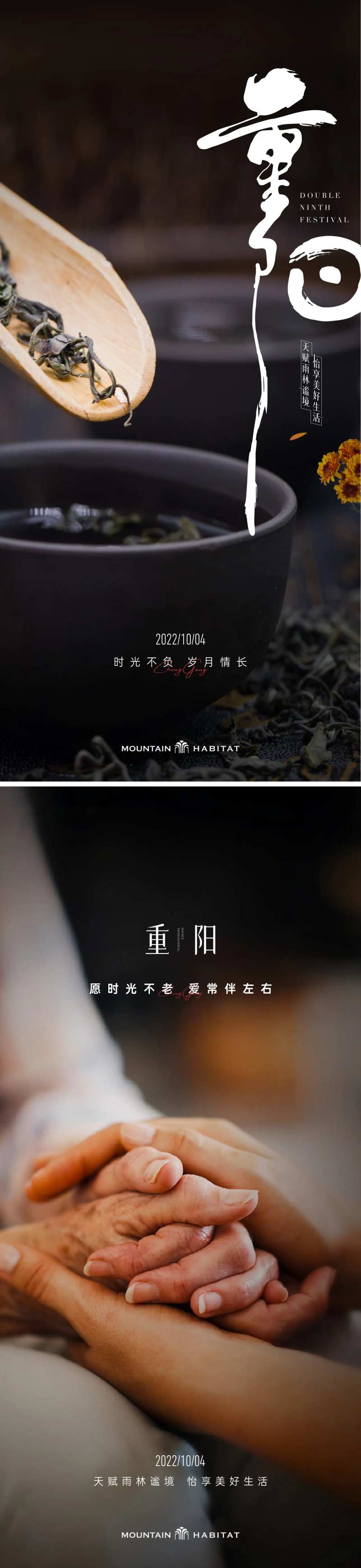 重阳喝茶海报-采灵感-cailinggan.com
