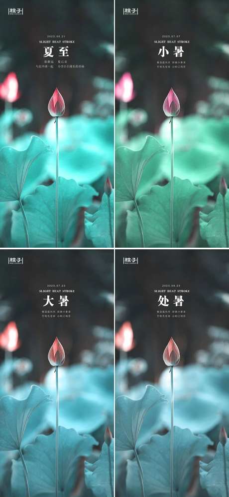 夏季节气海报-采灵感-https://www.cailinggan.com/