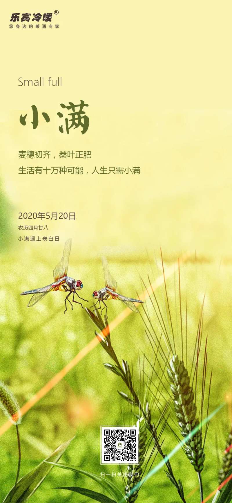 小满遇上520清新海报-采灵感-cailinggan.com