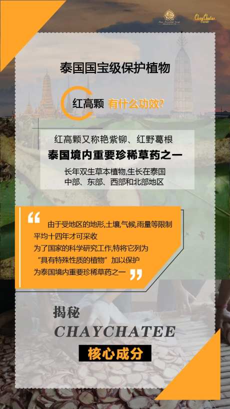 产品功效宣传-采灵感-https://www.cailinggan.com/