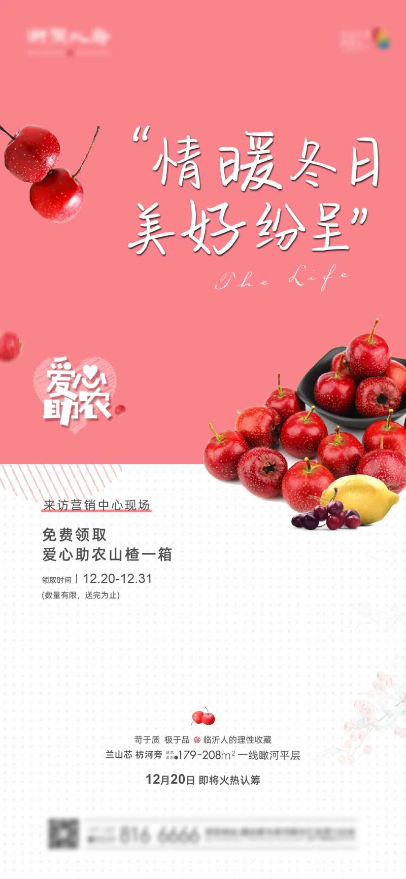 爱心助农山楂微信海报-采灵感-cailinggan.com