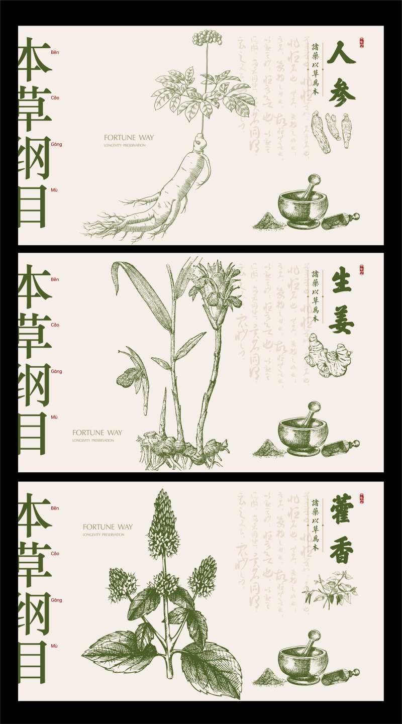 本草纲目中药展板2-采灵感-cailinggan.com
