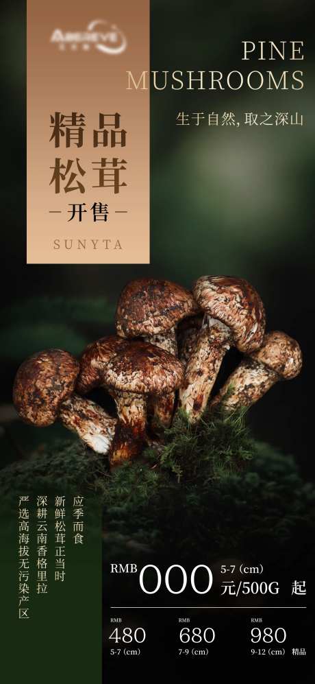 松茸蘑菇海报-采灵感-https://www.cailinggan.com/