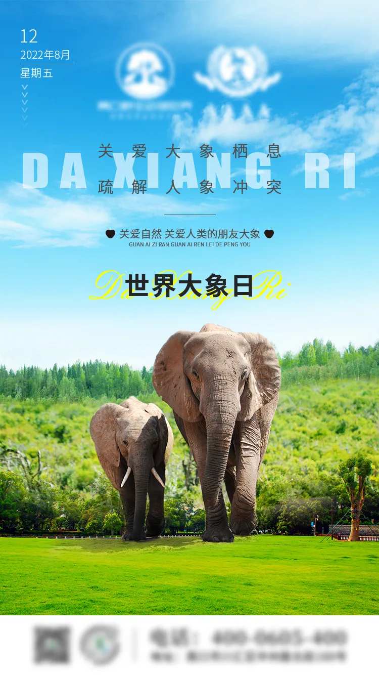 世界大象日海报-采灵感-cailinggan.com