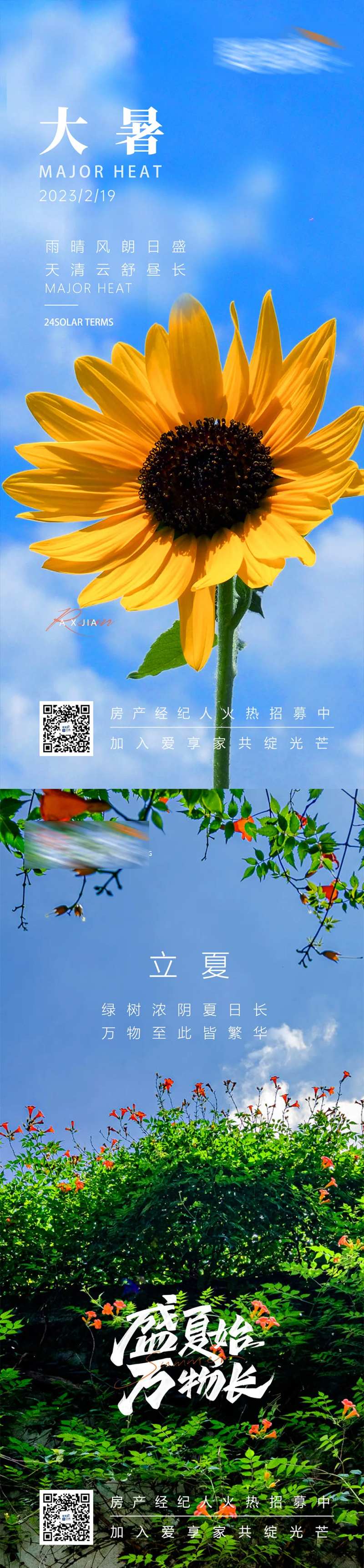 立夏大暑海报-采灵感-cailinggan.com