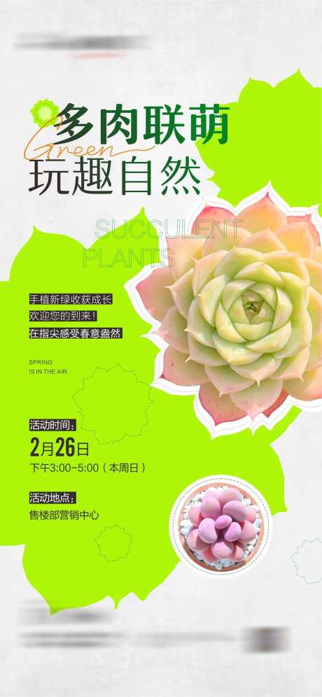 绿植diy活动-采灵感-https://www.cailinggan.com/