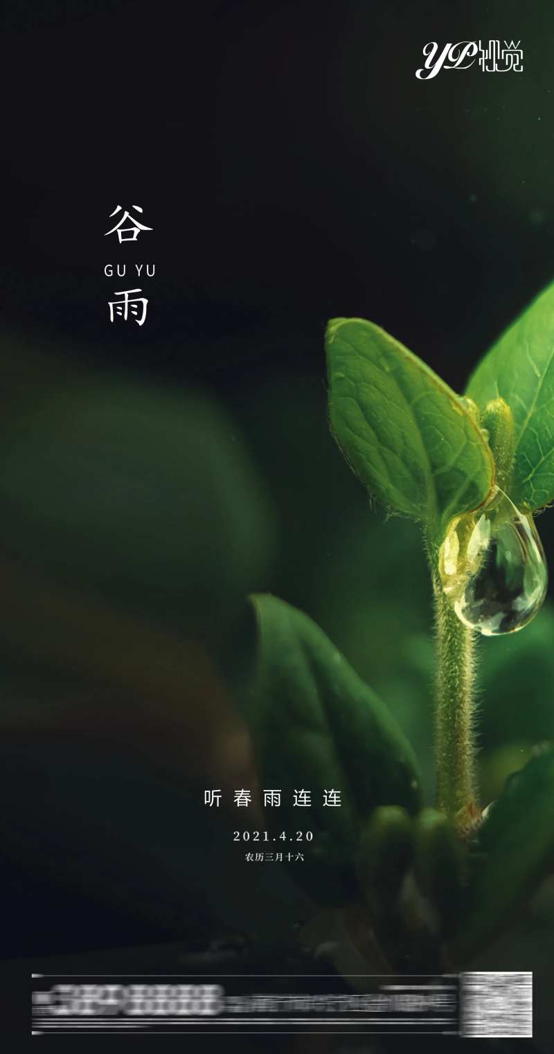 地产谷雨海报-采灵感-cailinggan.com