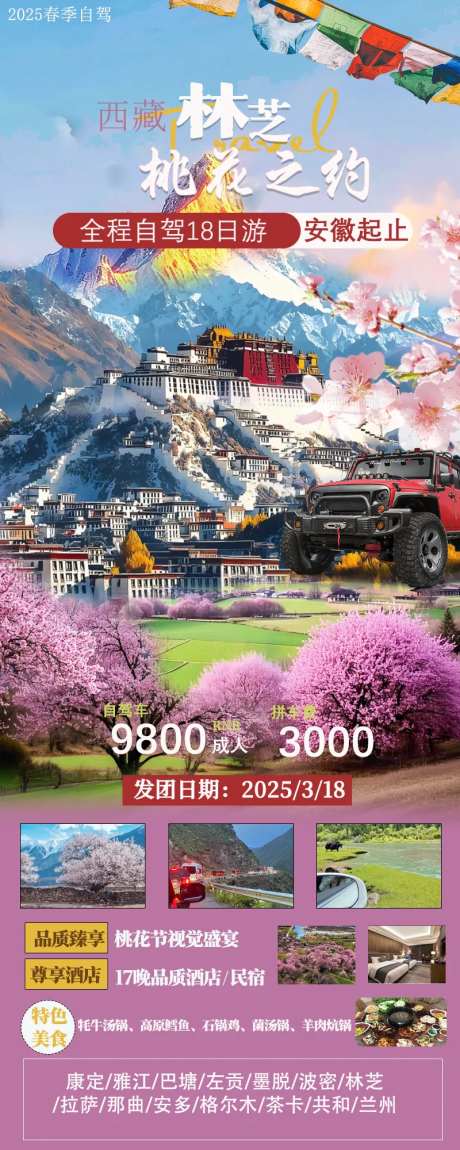 西藏林芝桃花节旅游海报-采灵感-https://www.cailinggan.com/