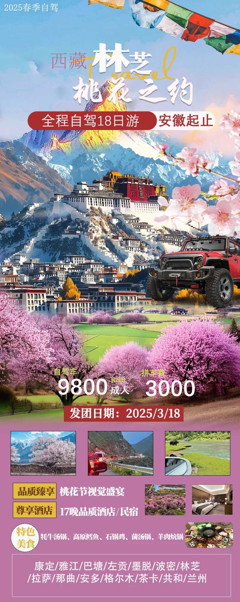 西藏林芝桃花节旅游海报-采灵感-cailinggan.com