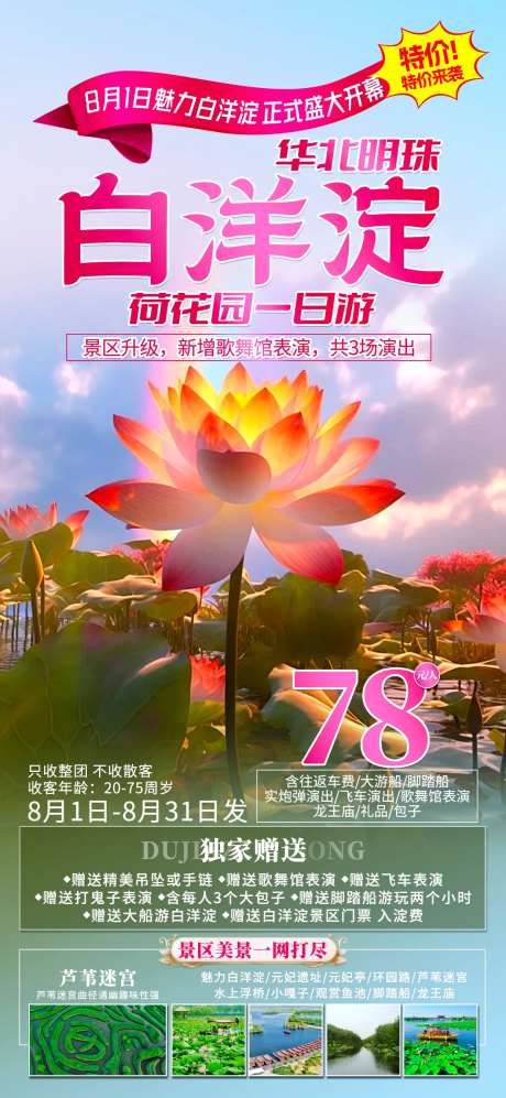 白洋淀旅游海报-采灵感-https://www.cailinggan.com/