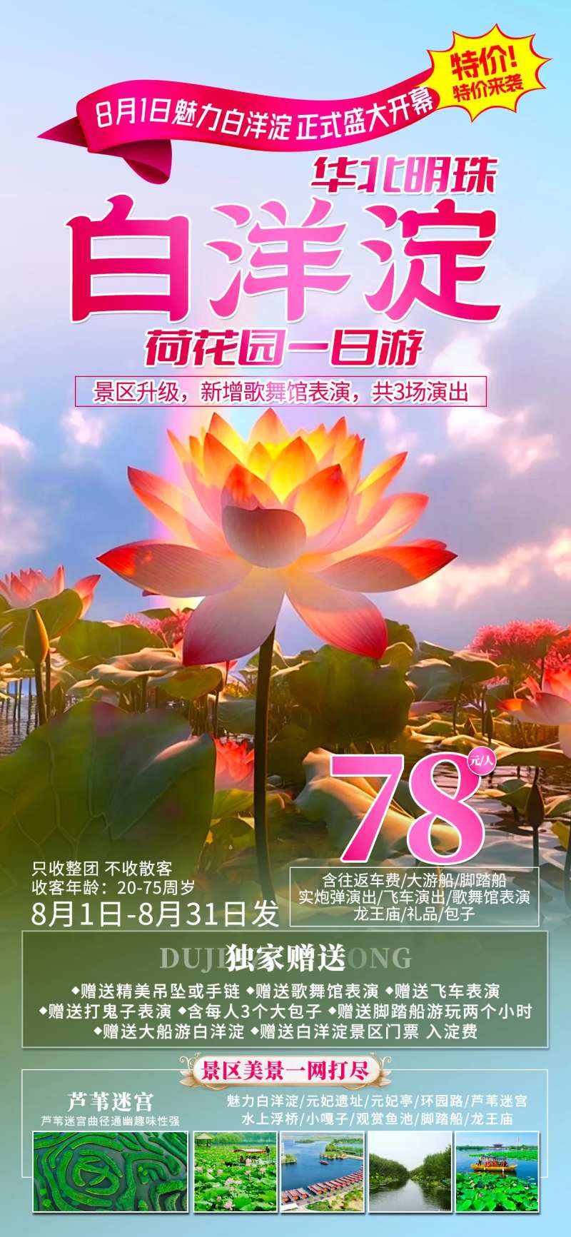 白洋淀旅游海报-采灵感-cailinggan.com