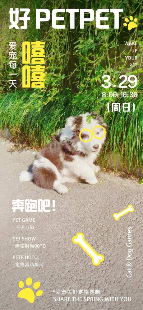 萌宠定格海报-采灵感-https://www.cailinggan.com/