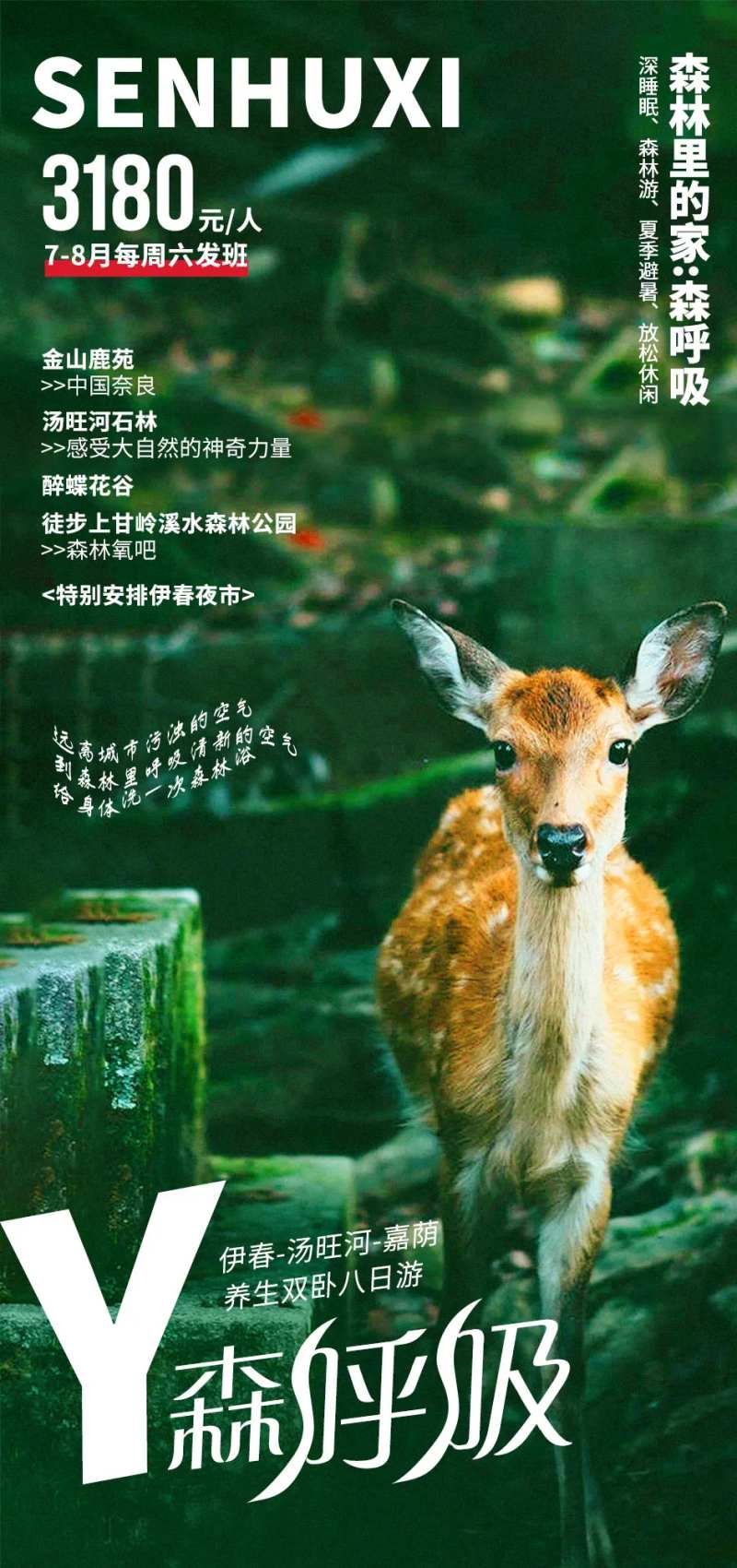 森呼吸旅游海报-采灵感-cailinggan.com