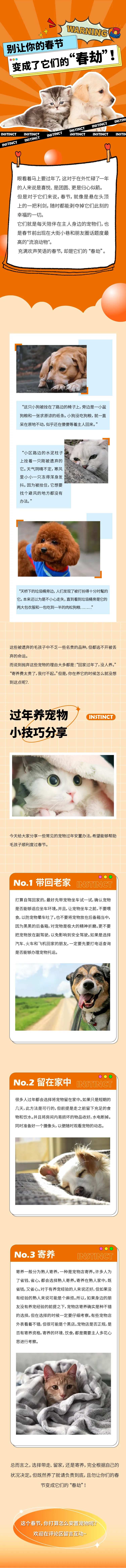 猫猫狗狗食物长图-采灵感-cailinggan.com