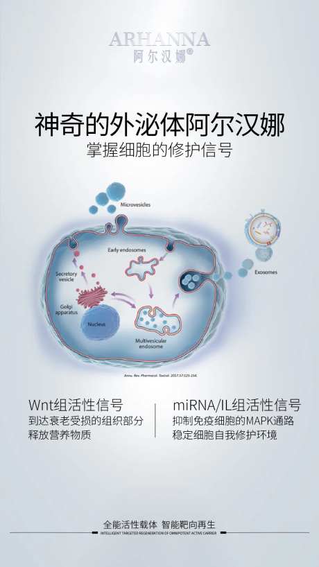 外泌体原理海报-采灵感-https://www.cailinggan.com/