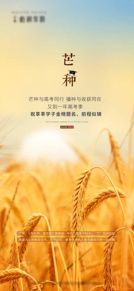 芒种海报-采灵感-https://www.cailinggan.com/