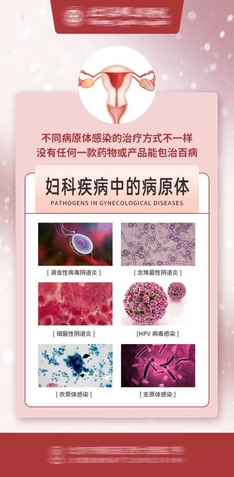妇科病原体海报 -采灵感-https://www.cailinggan.com/