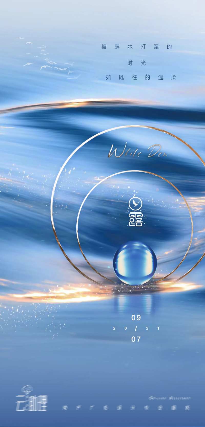 白露现代风海报-采灵感-cailinggan.com