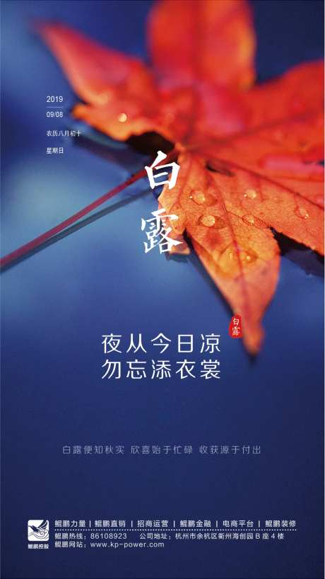 白露-采灵感-cailinggan.com