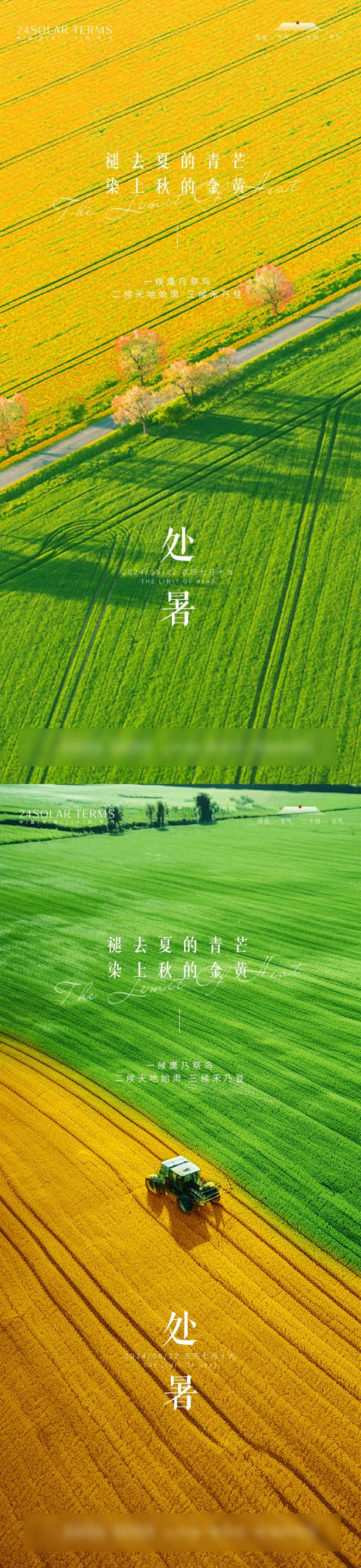 处暑海报-采灵感-cailinggan.com