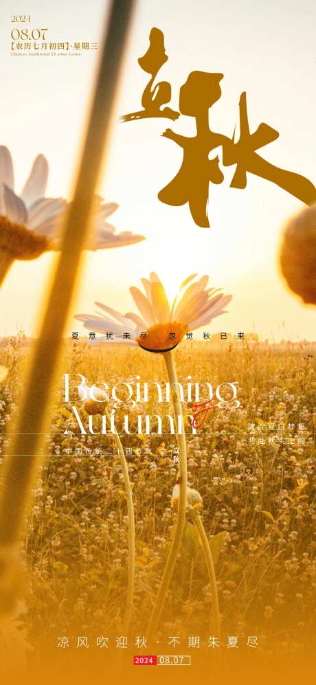 立秋向日葵景色节气 -采灵感-https://www.cailinggan.com/