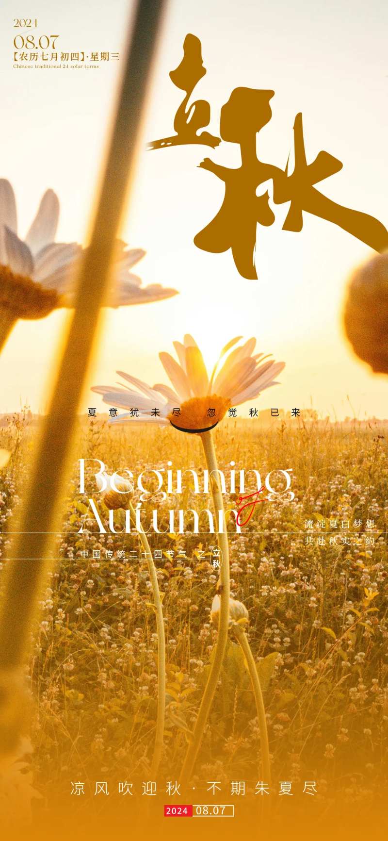 立秋向日葵景色节气 -采灵感-cailinggan.com