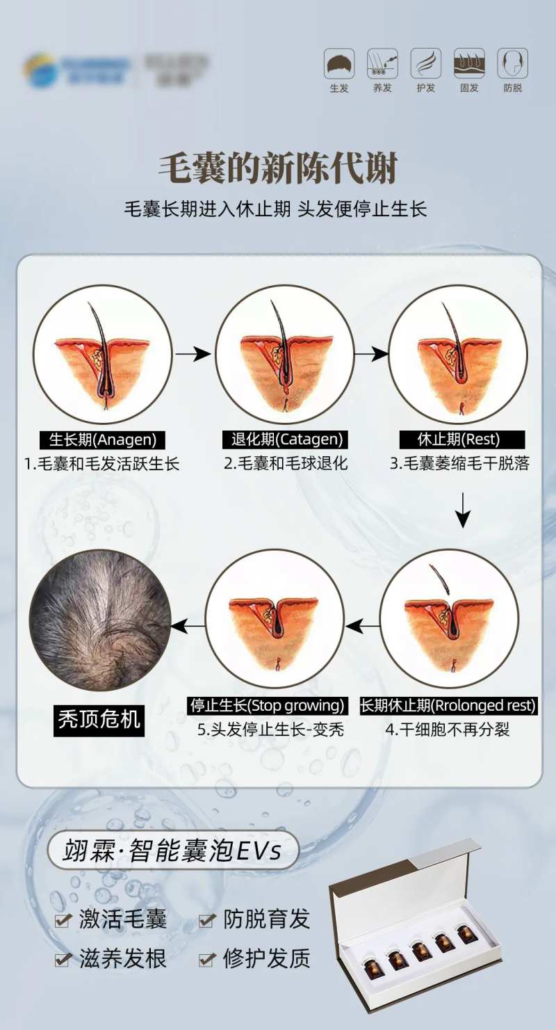 毛发的脱发周期-采灵感-cailinggan.com