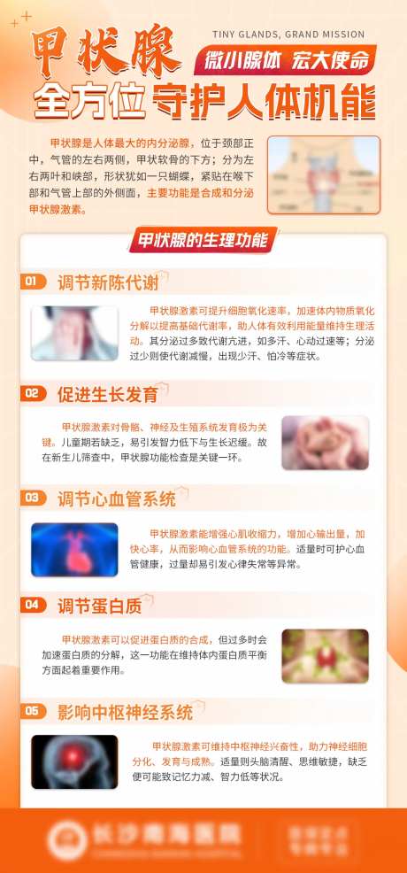 甲状腺疾病海报-采灵感-https://www.cailinggan.com/