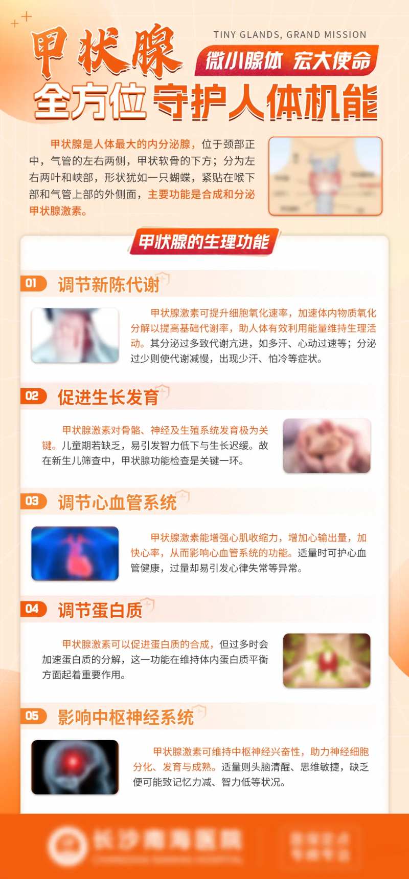 甲状腺疾病海报-采灵感-cailinggan.com