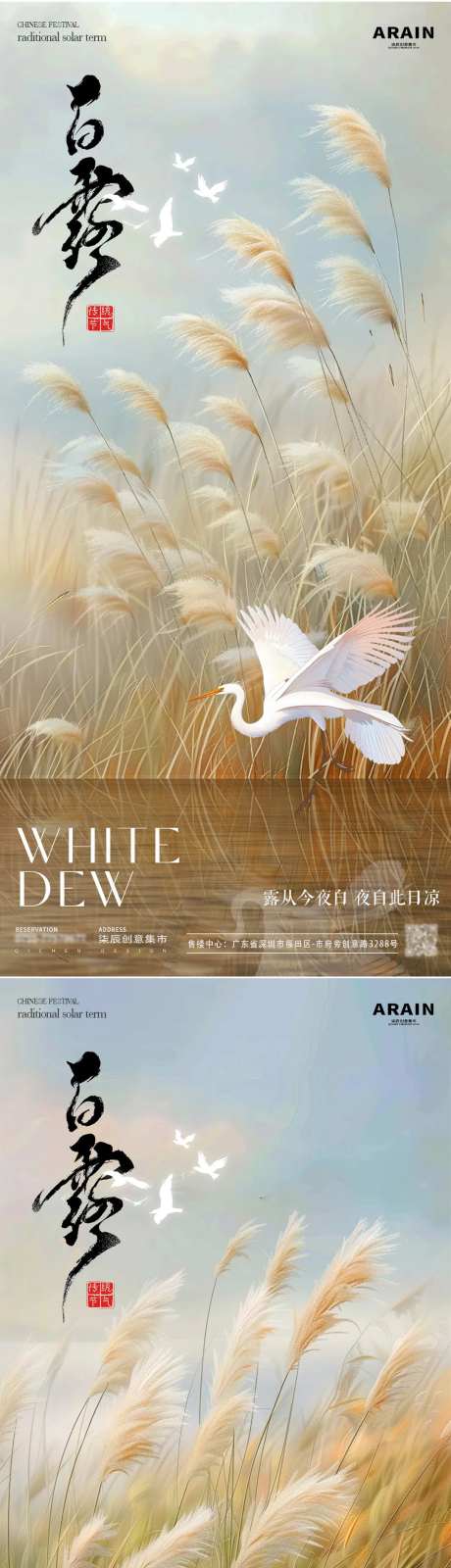 白露芦苇意境海报-采灵感-https://www.cailinggan.com/