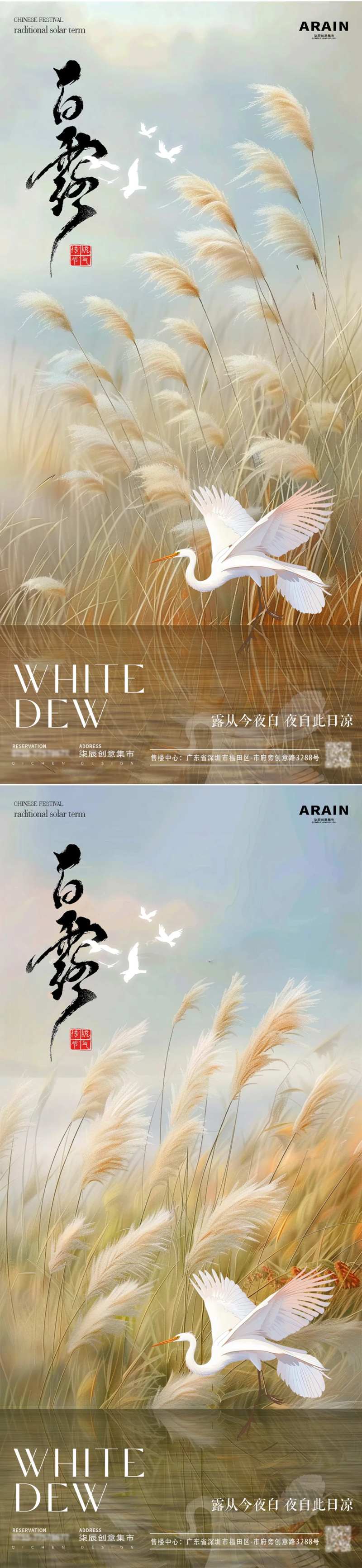 白露芦苇意境海报-采灵感-cailinggan.com