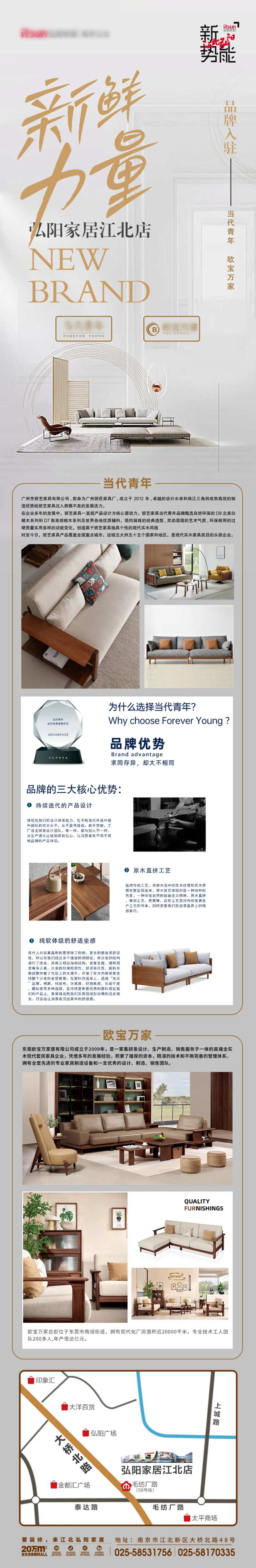 新品牌入驻新鲜力量介绍长图-采灵感-cailinggan.com