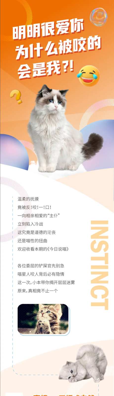 猫咪行为科普-采灵感-https://www.cailinggan.com/