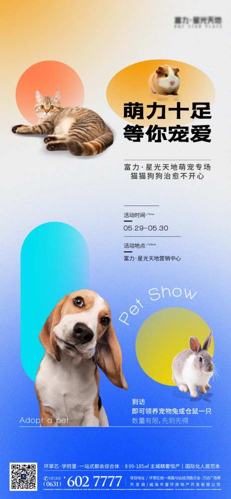 动物萌宠创意潮流炫彩海报-采灵感-https://www.cailinggan.com/
